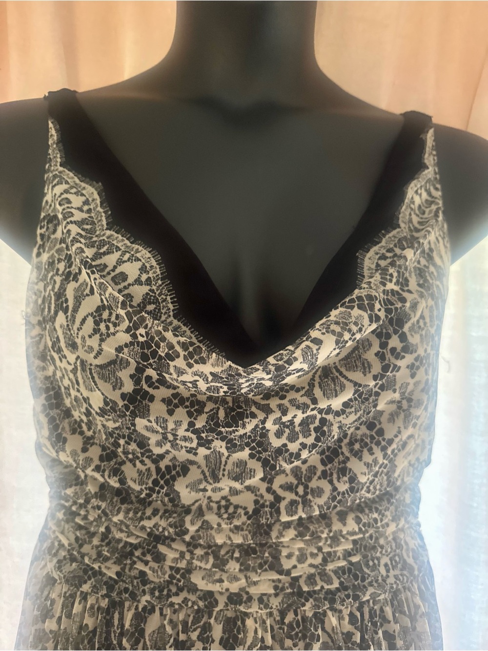 Maggy London Vintage Black and Cream Lace-like Overlay Dress